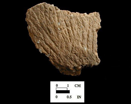 Shepard cord-marked base sherd from Biggs Ford site 18FR14/152.